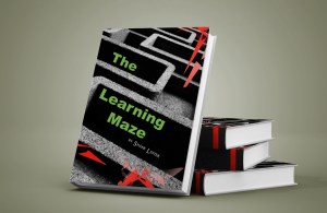 the learning maze